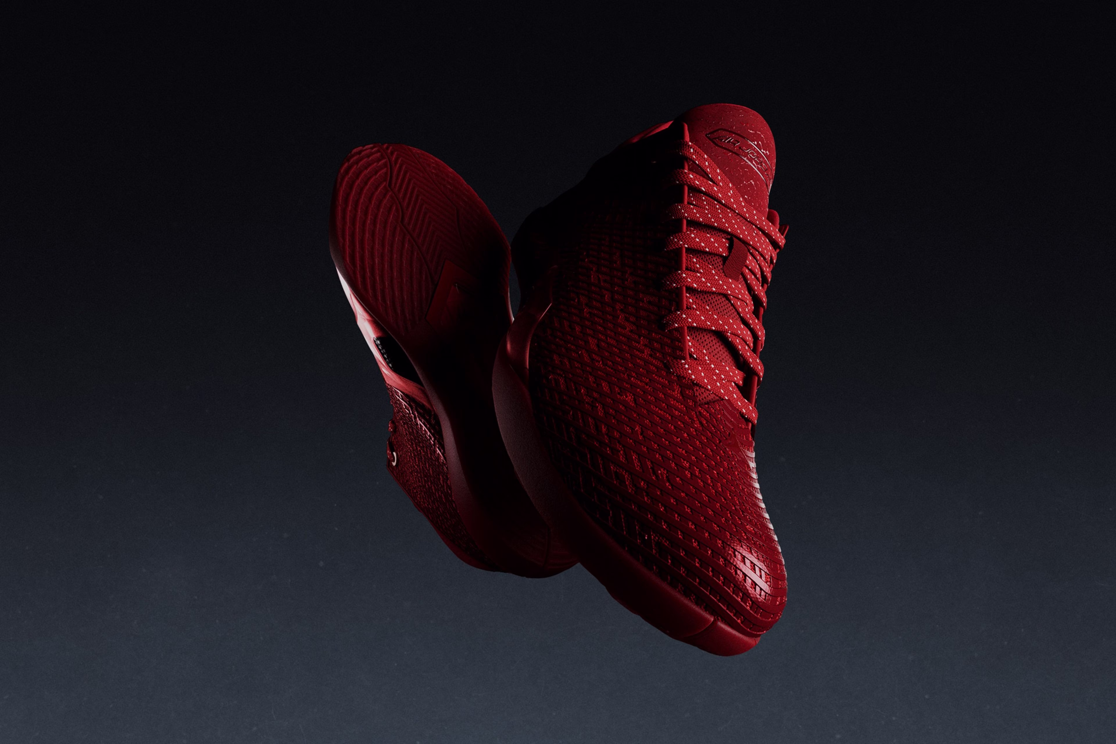 Air Jordan 41